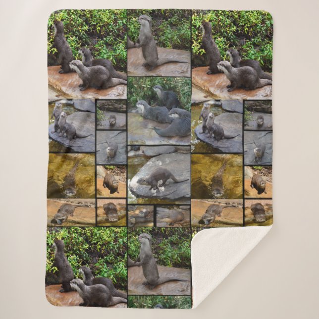 Couverture Sherpa Otters Dans Un Collage De Photo, (Devant)
