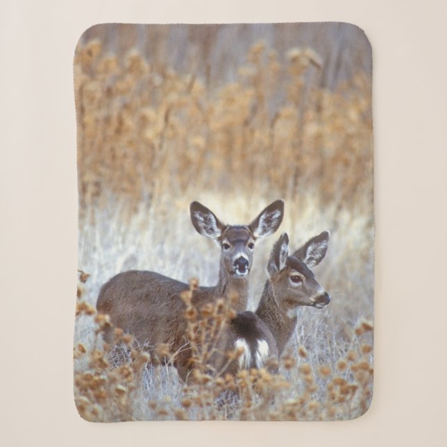 Couverture Sherpa Paire de cerfs de Mule sauvage | Californie (Devant)