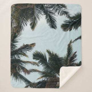 Couverture Sherpa Palmier vert sous ciel blanc le matin