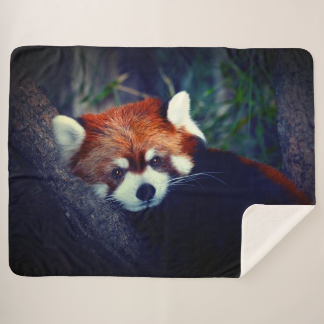 Couverture Sherpa Panda rouge (Devant (Horizontal))