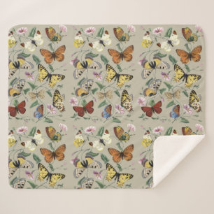 Couverture Sherpa Papillon de nuit vintage 1842 Art botanique floral