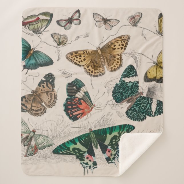 Couverture Sherpa Papillons Collection Antique Papillons (Devant)