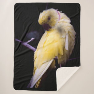 COUVERTURE SHERPA PARAKEET JAUNE