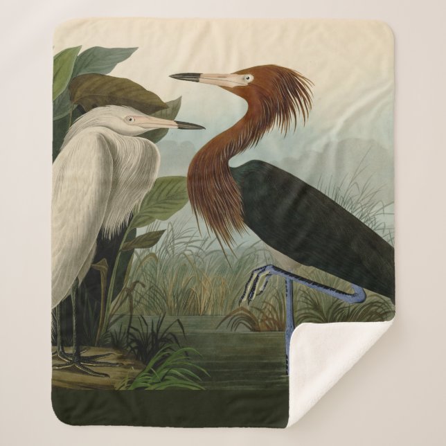 Couverture Sherpa Peinture de la faune d'Audubon Heron violet (Devant)