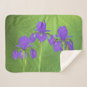 Couverture Sherpa Peinture Iris Violet - Art Fleur Originale