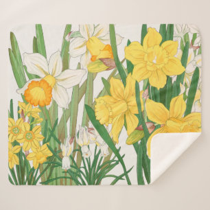 Couverture Sherpa Peinture sur bloc de bois de narcisse, Tanigami Kô