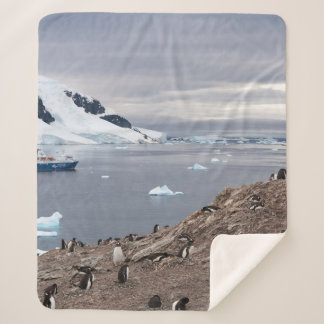 COUVERTURE SHERPA PENGUINS BESEIN