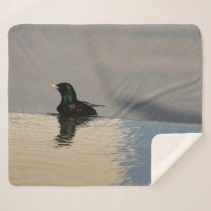 Couverture Sherpa Petit oiseau sur l'eau