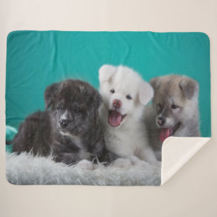 Couverture Sherpa Petites marionnettes