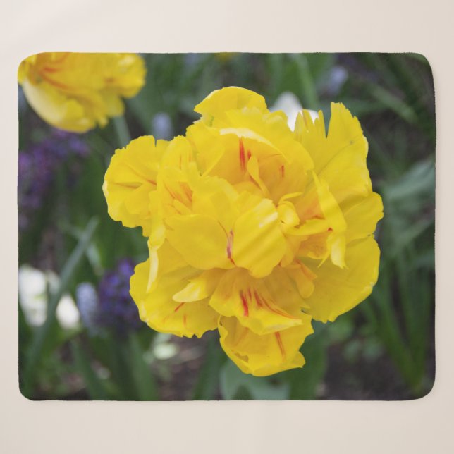 Couverture Sherpa Petites tulipes jaunes dans le jardin (Devant (Horizontal))