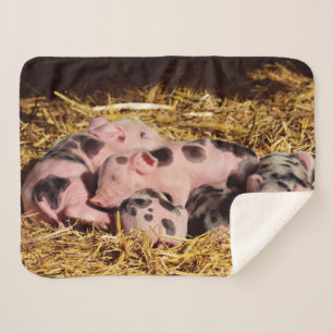 COUVERTURE SHERPA PETITS PIGLETS DORMIERS