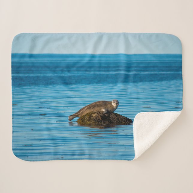 Couverture Sherpa Phoque commun (Devant (Horizontal))