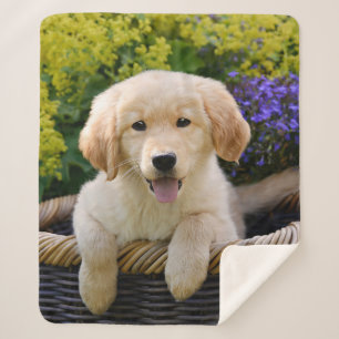 Couverture Sherpa Photo drôle d'animal familier de chiot de chien de