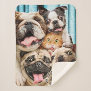 Couverture Sherpa Photo d'un groupe de chiens et de chats