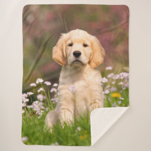 Couverture Sherpa Photo mignonne d'animal de visage de chiot de