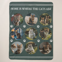 Photo personnalisée Collage Chats vert