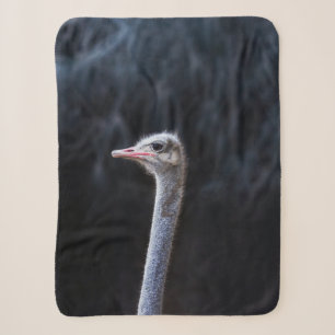 Couverture Sherpa Photographie d'autruche