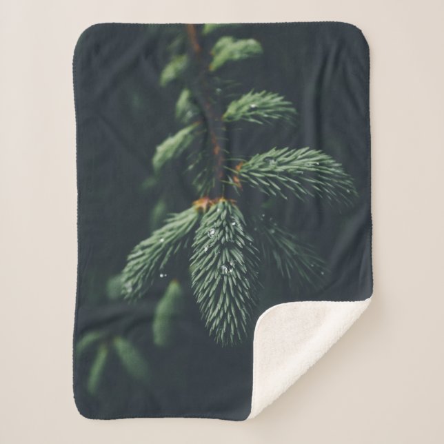 COUVERTURE SHERPA PINE CONES (Devant)