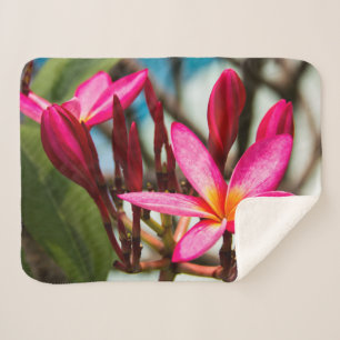 Couverture Sherpa Plumeria arrière - plan de fleurs exotiques