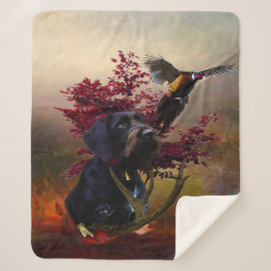 Couverture Sherpa Pointeur À poils durs allemand