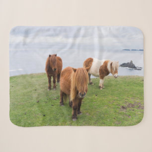 Couverture Sherpa Poney Shetland dans un pâturage près de hautes fal