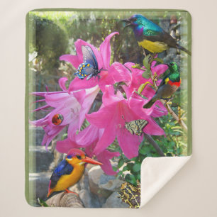 Couverture Sherpa Poster rose - Amaryllis & Kingfisher