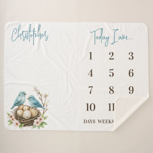 Couverture Sherpa Prêt pour Hatch ! Bébé Bébé Jalon mignon Oiseaux (Devant (Horizontal))