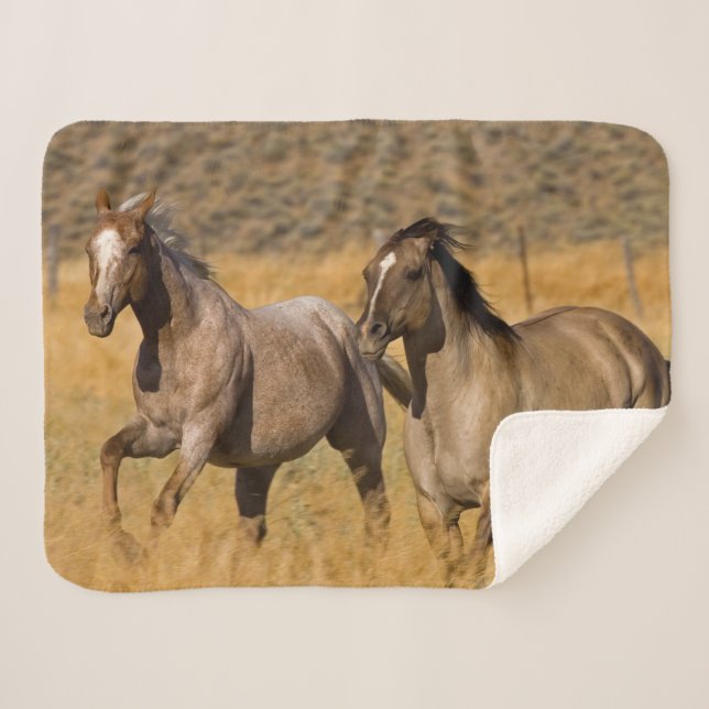 Couverture Sherpa Ranch Living at The Ponderosa Ranch (Devant (Horizontal))