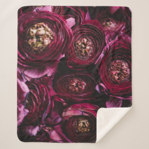 Couverture Sherpa Ranunculus pourpre foncé, Gros Plan.