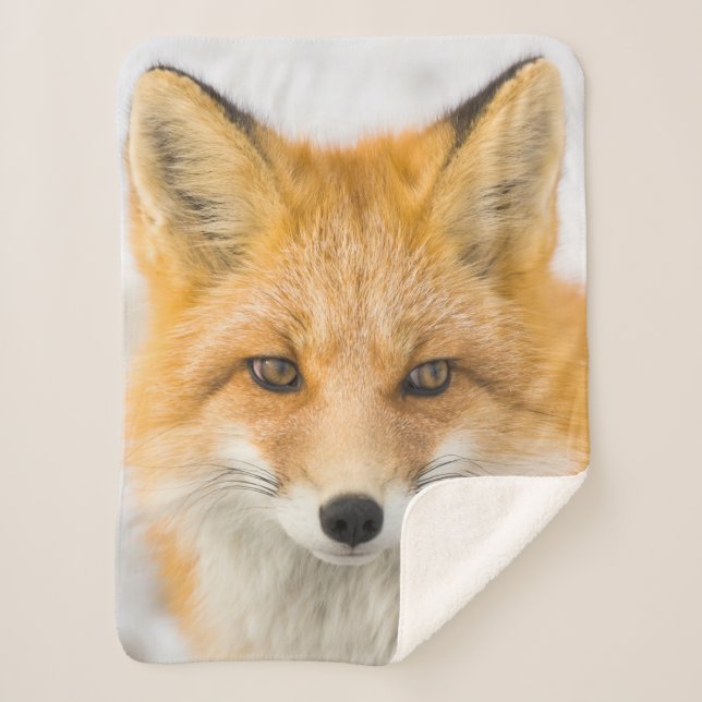 Couverture Sherpa Red Fox Portrait (Devant)