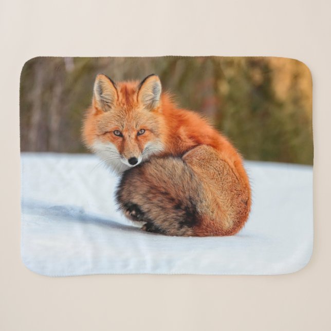 Couverture Sherpa Renard Rouge En Neige | Yukon (Devant (Horizontal))