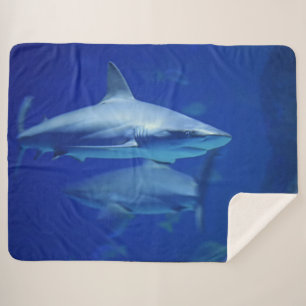 COUVERTURE SHERPA REQUINS BLEUS