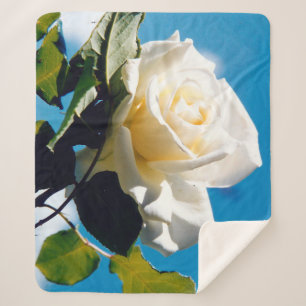 Couverture Sherpa Rose blanche sous ciel bleu