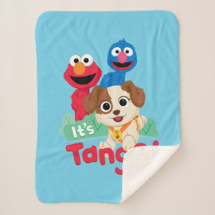 Couverture Sherpa Rue Sésame   C'est Tango avec Elmo & Grover