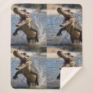 Couverture Sherpa Scary Jaws : Le Crocodile australien saute aux pie