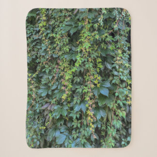 Couverture Sherpa Serene Green Ivy Wall Suspendre Vins Plantes Feuil