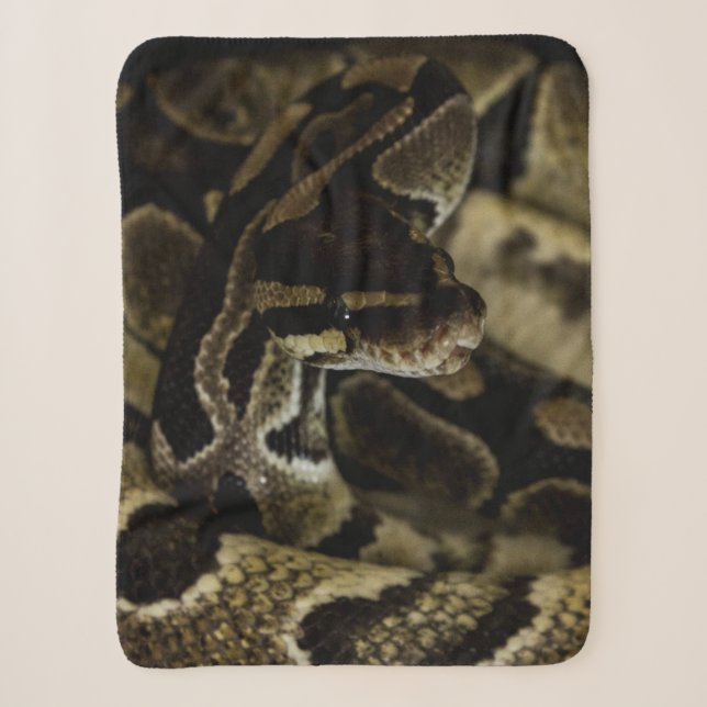 Couverture Sherpa Serpent noir Cool (Devant)