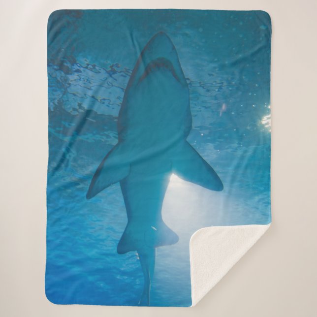 COUVERTURE SHERPA SHARK BELLY (Devant)