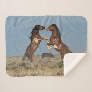 Couverture Sherpa Stallions de Cheval Sauvage combattant