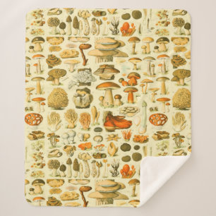 Couverture Sherpa Tabouret de toilette Vintage de champignons Illust