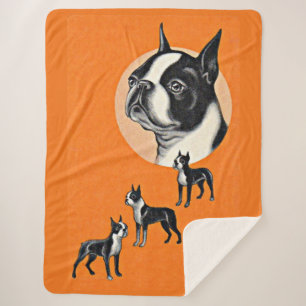 Couverture Sherpa terriers de Boston