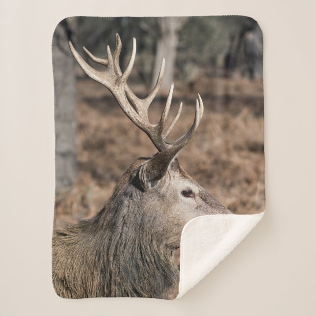 Couverture Sherpa The King's Deer of Richmond Park, Londres, Royaume (Devant)