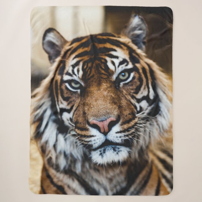 COUVERTURE SHERPA TIGER (Devant)