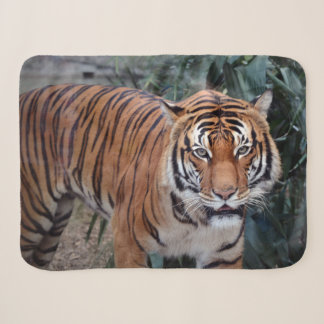 Couverture Sherpa Tigre