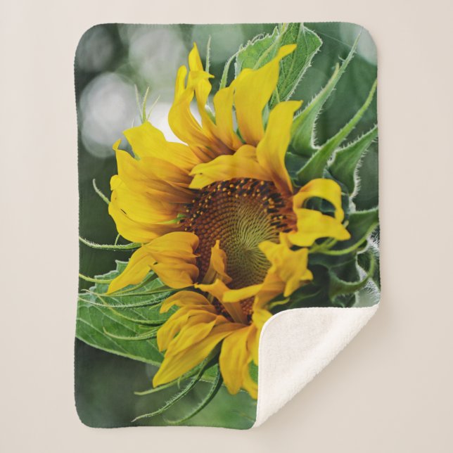Couverture Sherpa Tournesol (Devant)