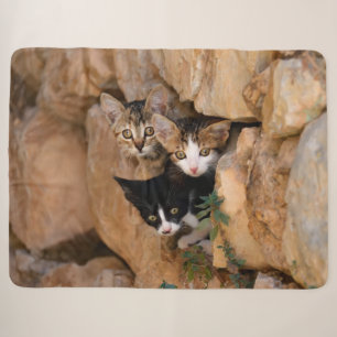 Couverture Sherpa Trois Cute Curieux Chat Kittens Visages Drôle Phot