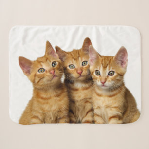 Couverture Sherpa Trois mignons Ginger Chat Kittens amis Photo de la