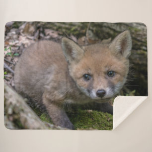 COUVERTURE SHERPA TROUSSE FOX