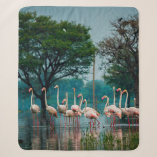 Couverture Sherpa Un grand troupeau de flamants dans l'habitat natur