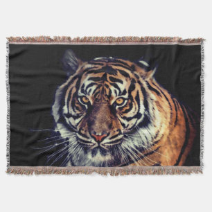 Couverture Tigre